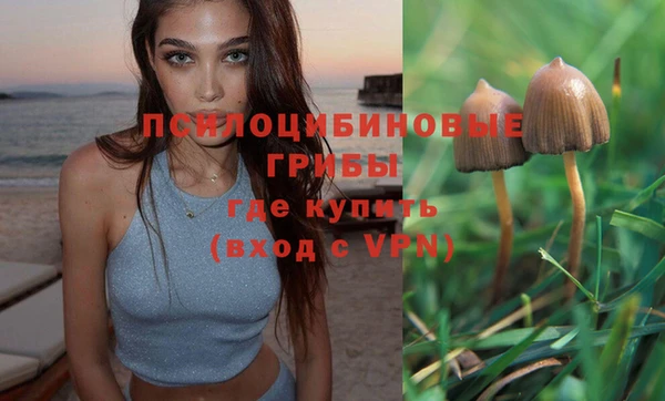 прущие крисы Навашино