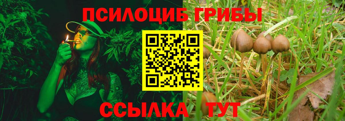 Галлюциногенные грибы мухоморы Нижнеудинск